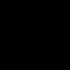 Meet your Posher, Kaylee